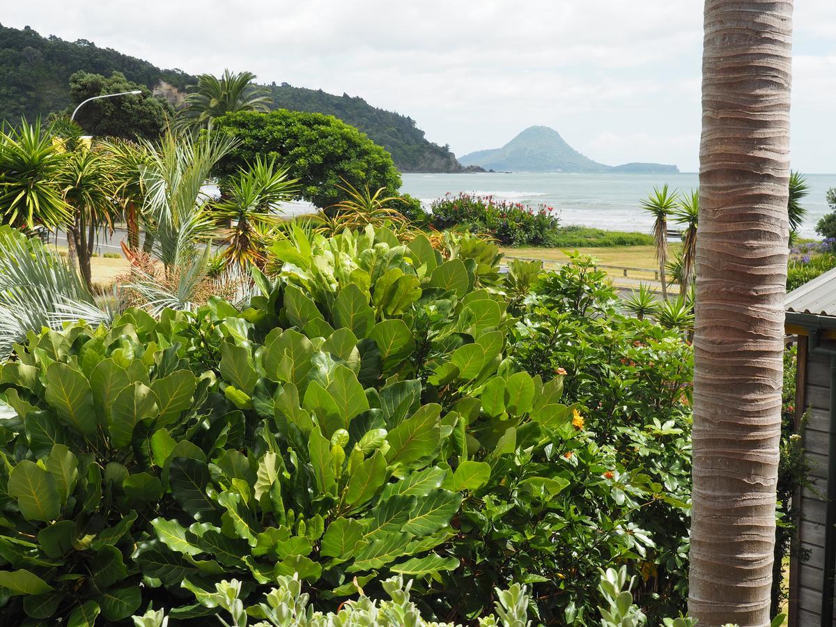 Aparthotel Ocean View Ohope Exterior foto